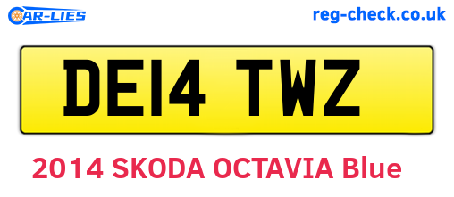 DE14TWZ are the vehicle registration plates.