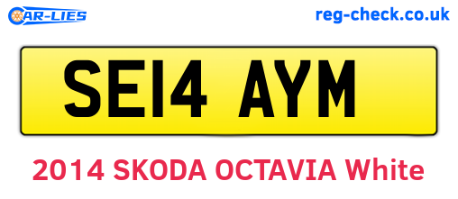 SE14AYM are the vehicle registration plates.