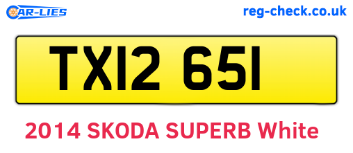 TXI2651 are the vehicle registration plates.