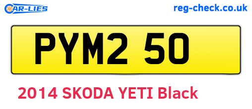 PYM250 are the vehicle registration plates.