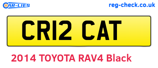 CR12CAT are the vehicle registration plates.