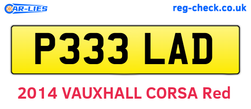 P333LAD are the vehicle registration plates.