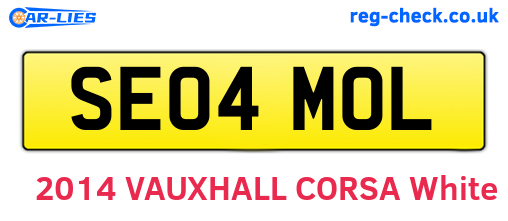 SE04MOL are the vehicle registration plates.