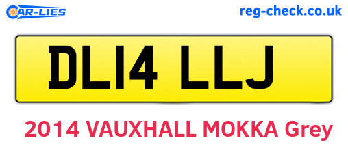 DL14LLJ are the vehicle registration plates.