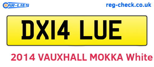 DX14LUE are the vehicle registration plates.