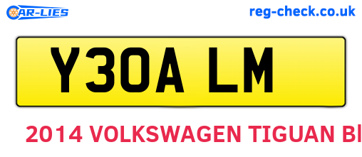 Y30ALM are the vehicle registration plates.