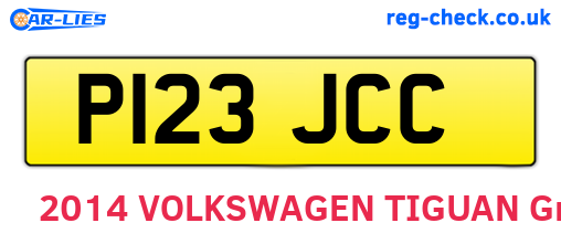 P123JCC are the vehicle registration plates.