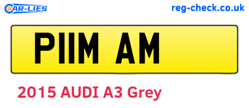 P11MAM are the vehicle registration plates.