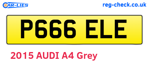 P666ELE are the vehicle registration plates.