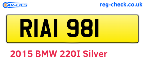 RIA1981 are the vehicle registration plates.