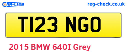 T123NGO are the vehicle registration plates.