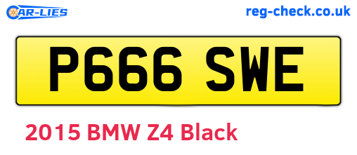 P666SWE are the vehicle registration plates.