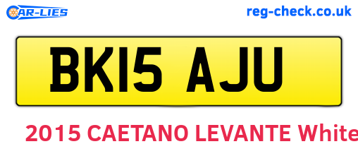 BK15AJU are the vehicle registration plates.