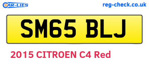 SM65BLJ are the vehicle registration plates.