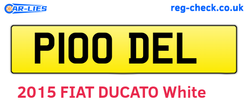 P100DEL are the vehicle registration plates.