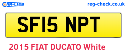 SF15NPT are the vehicle registration plates.