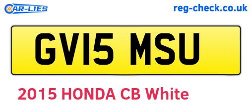 GV15MSU are the vehicle registration plates.