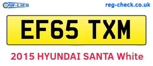 EF65TXM are the vehicle registration plates.