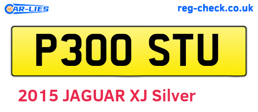 P300STU are the vehicle registration plates.