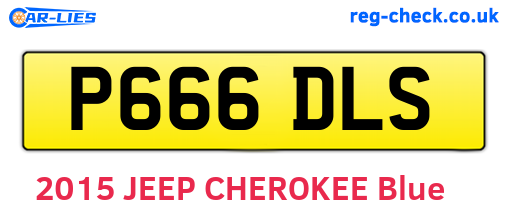 P666DLS are the vehicle registration plates.