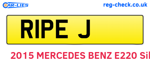 R1PEJ are the vehicle registration plates.