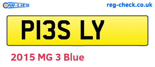 P13SLY are the vehicle registration plates.