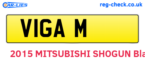 V1GAM are the vehicle registration plates.
