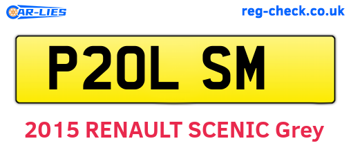 P20LSM are the vehicle registration plates.