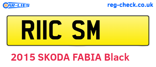 R11CSM are the vehicle registration plates.