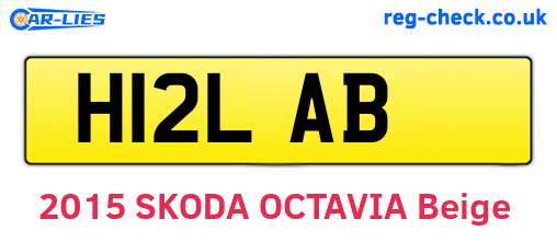 H12LAB are the vehicle registration plates.
