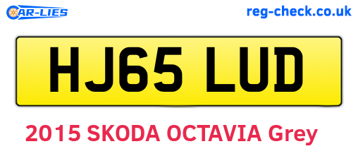 HJ65LUD are the vehicle registration plates.