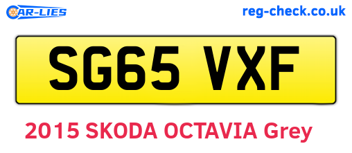 SG65VXF are the vehicle registration plates.