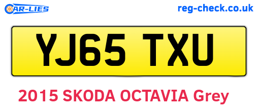 YJ65TXU are the vehicle registration plates.