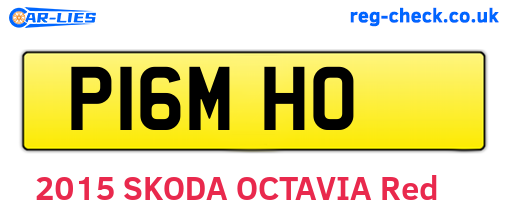 P16MHO are the vehicle registration plates.