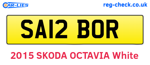 SA12BOR are the vehicle registration plates.