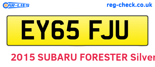 EY65FJU are the vehicle registration plates.