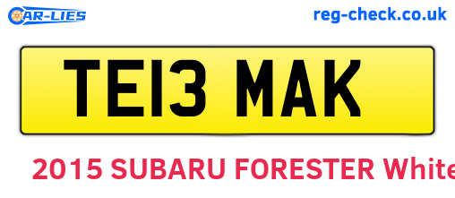 TE13MAK are the vehicle registration plates.