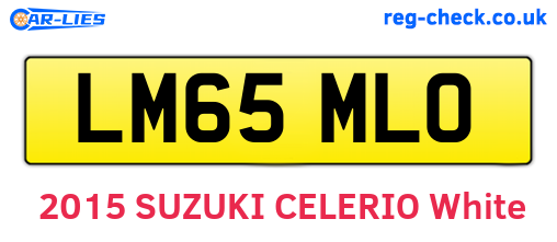 LM65MLO are the vehicle registration plates.