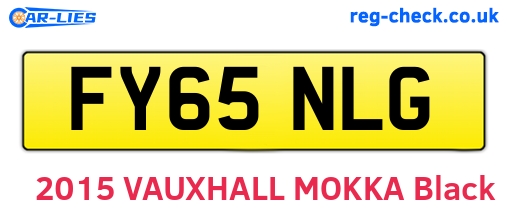FY65NLG are the vehicle registration plates.