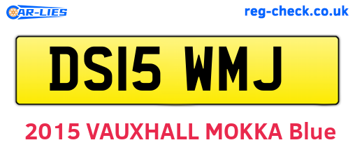DS15WMJ are the vehicle registration plates.