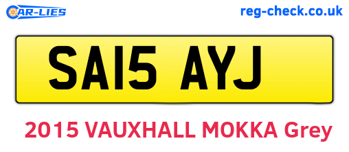 SA15AYJ are the vehicle registration plates.