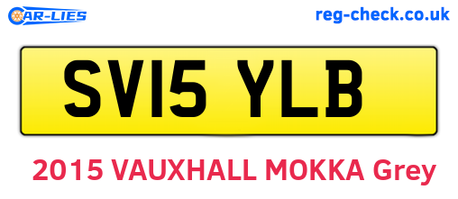 SV15YLB are the vehicle registration plates.