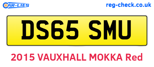 DS65SMU are the vehicle registration plates.