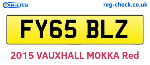 FY65BLZ are the vehicle registration plates.