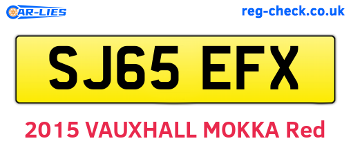 SJ65EFX are the vehicle registration plates.