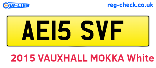 AE15SVF are the vehicle registration plates.