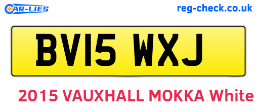BV15WXJ are the vehicle registration plates.