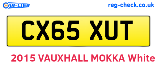 CX65XUT are the vehicle registration plates.