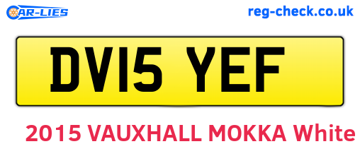 DV15YEF are the vehicle registration plates.