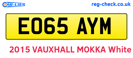 EO65AYM are the vehicle registration plates.